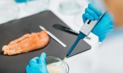 取安全公司推出“食物平安义务险”